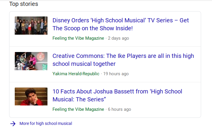 HSM Coverage on Feeling the Vibe Google News