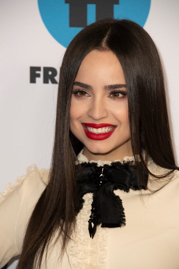What Did Sofia Carson Go to College For?