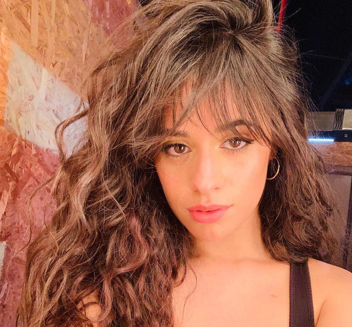 Get Her Look: Camila Cabello's Go-To Makeup, Skincare Secrets, & Favorite  Beauty Products! | Feeling the Vibe Magazine