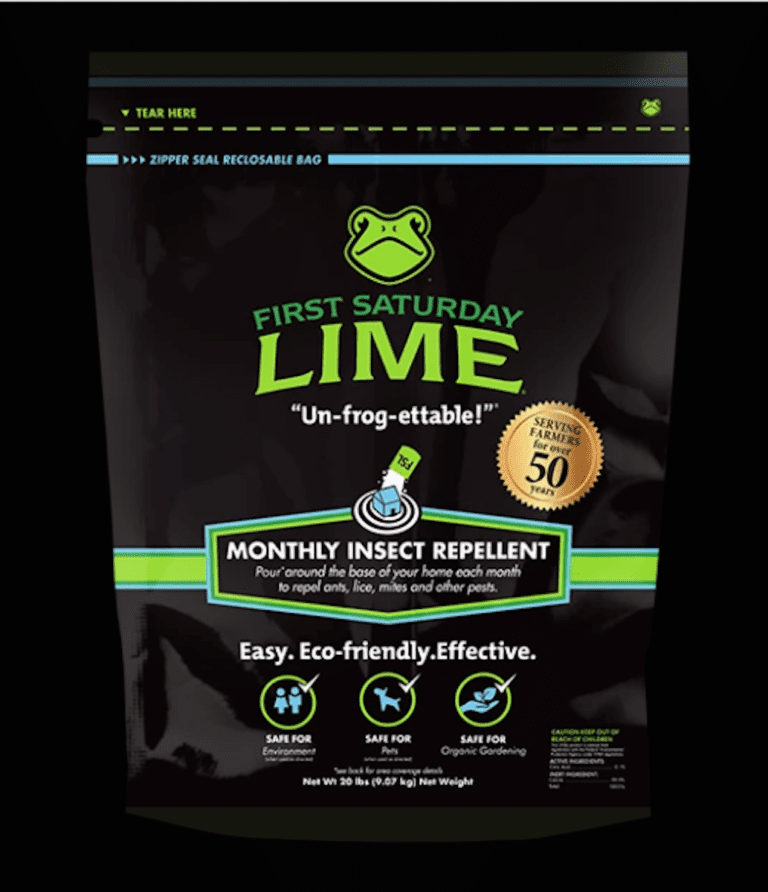First Saturday Lime on Shark Tank What You Should Know Feeling the