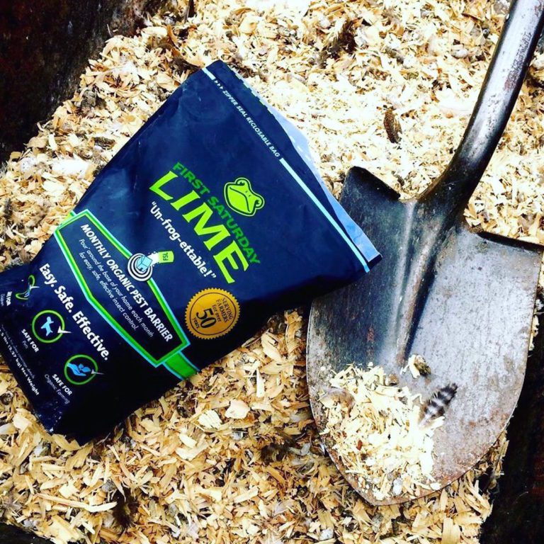 First Saturday Lime on Shark Tank What You Should Know Feeling the