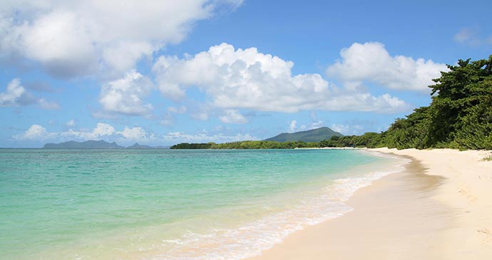 paradise beach